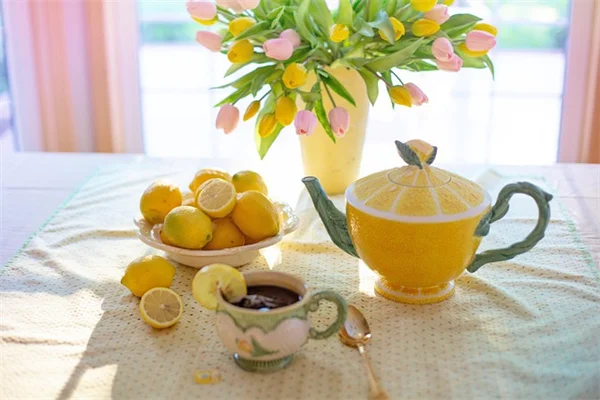 妖精の輪を球根で作る簡単ガイド｜初心者でも成功する5ステップ