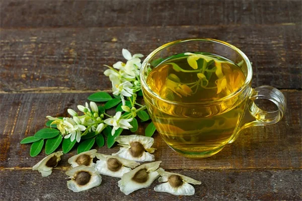 花店のアジサイはなぜ庭に植えてはいけない？その理由とおすすめ品種を解説