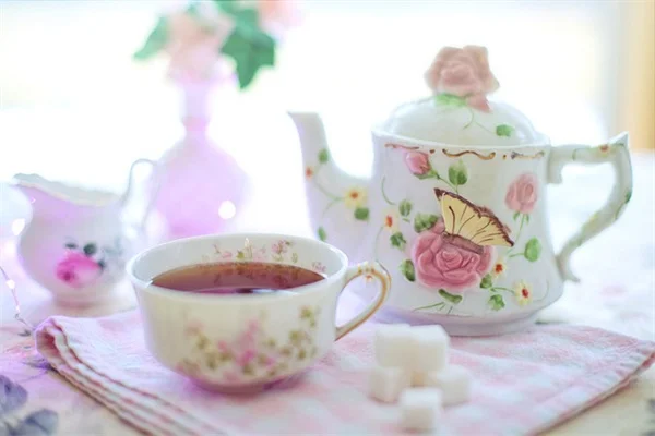 旅行中でも植物を枯らさない！水芯の効果的な使い方と簡単DIY