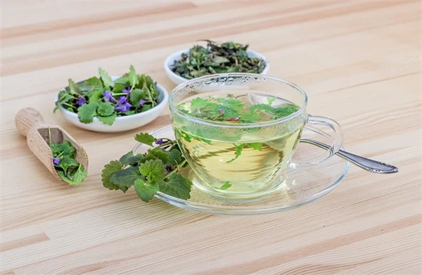 旅行中でも植物を枯らさない！水芯の効果的な使い方と簡単DIY
