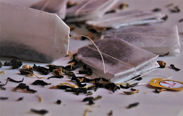 蜘蛛植物の4月ケアはたった3つのコツでOK！元気に育てる方法