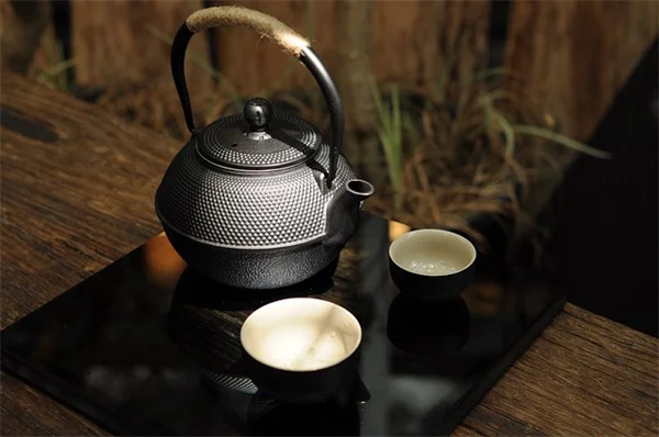 パロベルデの失敗しない植え方！年間60〜120cm成長するデザートミュージアム品種の完全ガイド