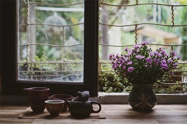 牡丹の移植は秋が正解！成功率を上げる正しい時期と方法